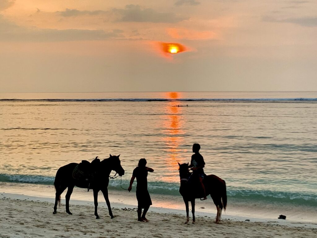 Gili Sunset And Horse 22061088 Maria Putri Laras Maria Putri Laras