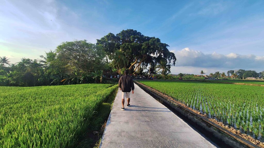 Mengwi Jogging Track Ujung 22080698 Ni Wayan Juni Astari JESI