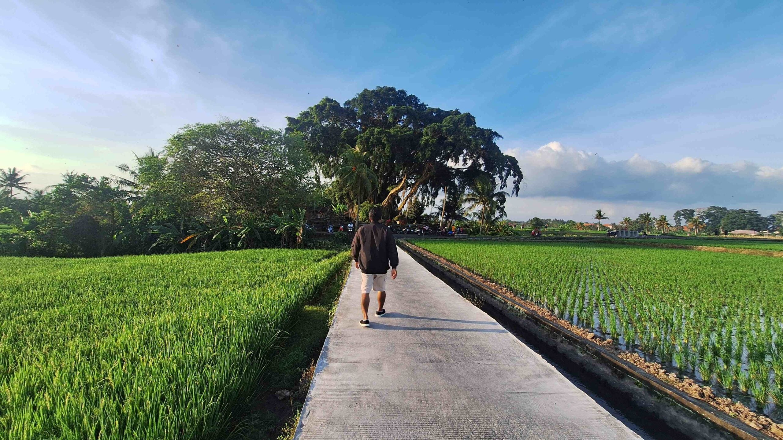 Mengwi Jogging Track Ujung 22080698 Ni Wayan Juni Astari JESI