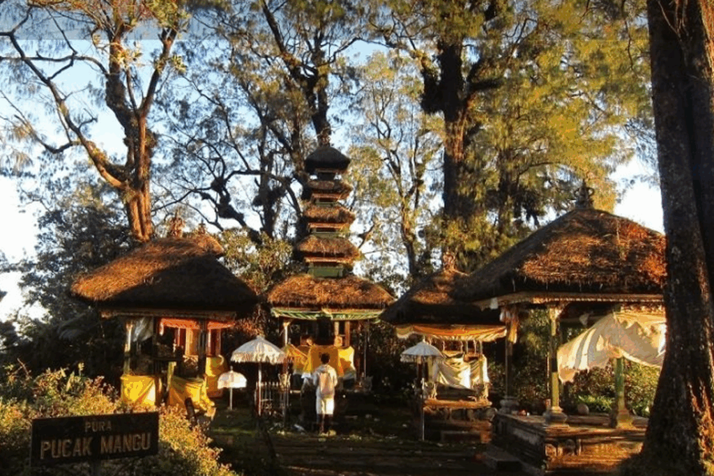 Pucak Mangu's History