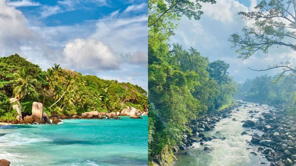 Seychelles vs Bali