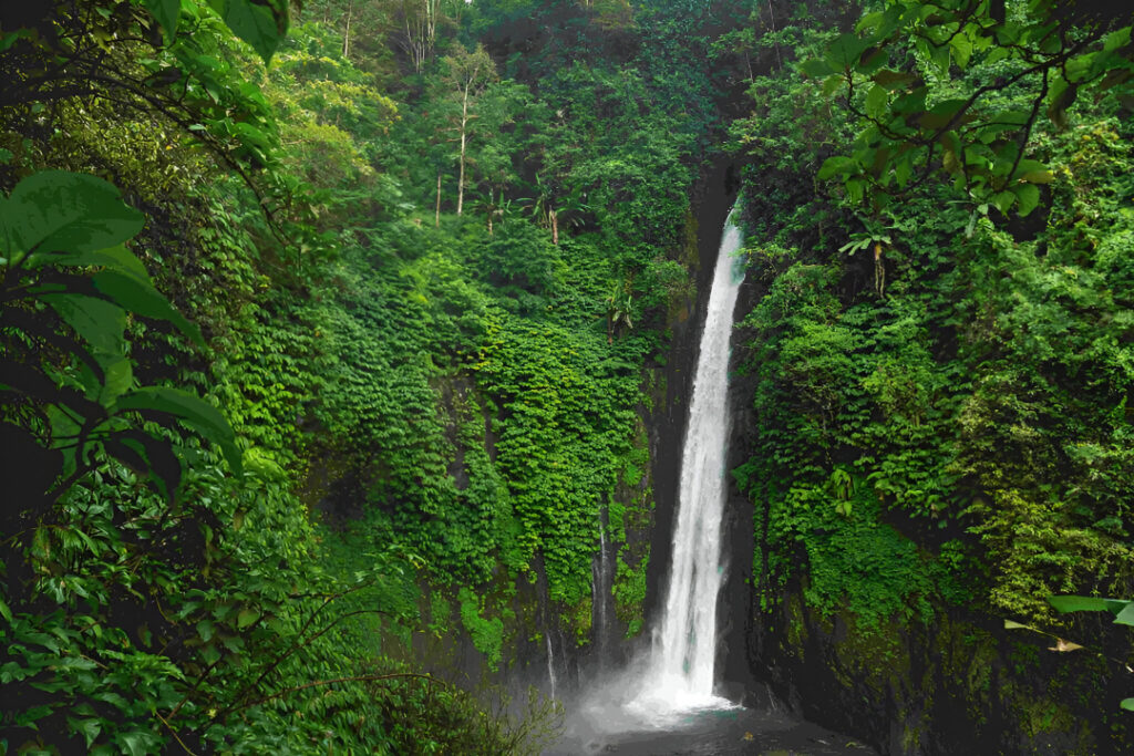 air terjun munduk waterfall bali island indonesi 2023 11 27 05 30 12 utc 1024x683