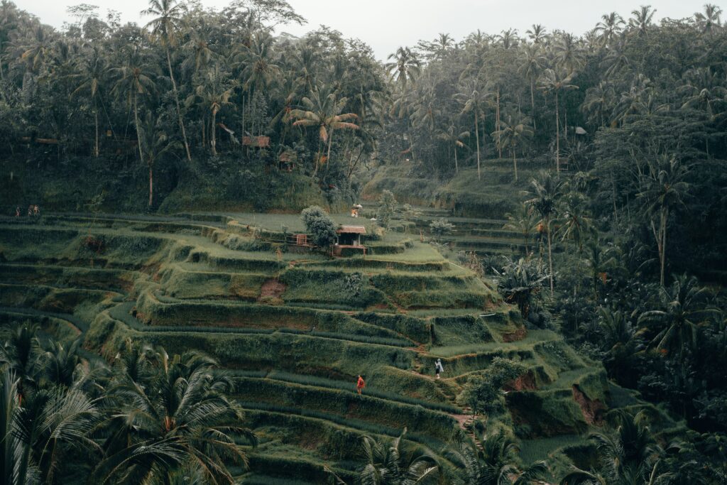 radoslav bali ca3d4FYDf84 unsplash