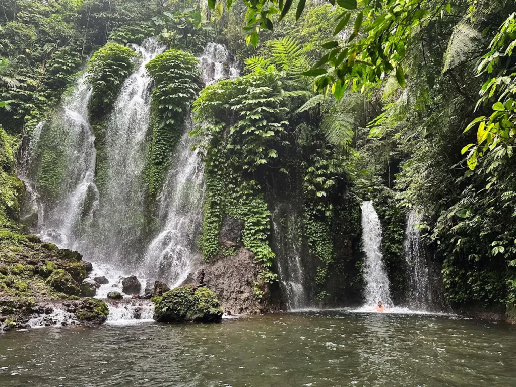 Banyu Wana Amertha Waterfall
