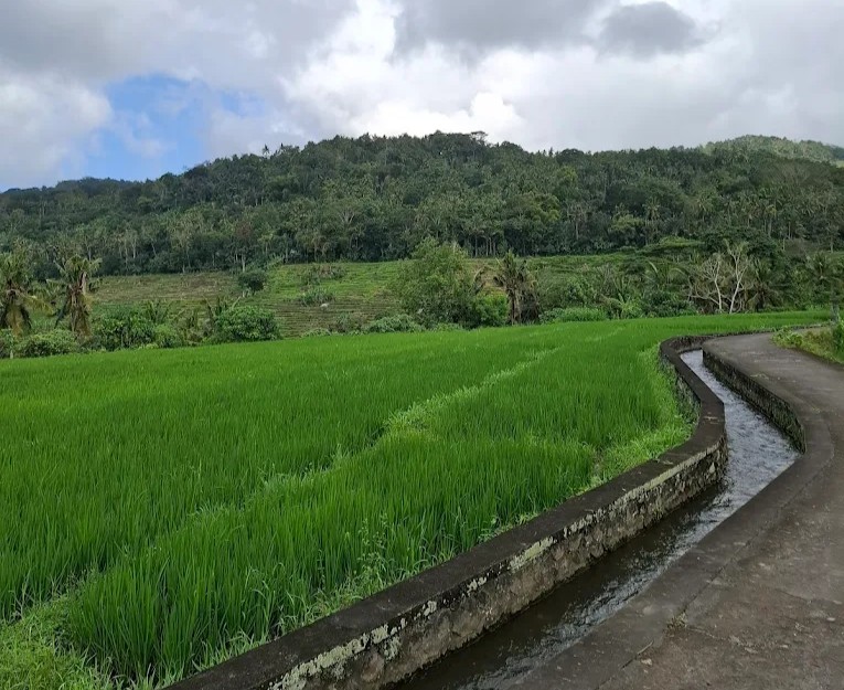 Jogging Track Subak Sengkawan, Karangasem