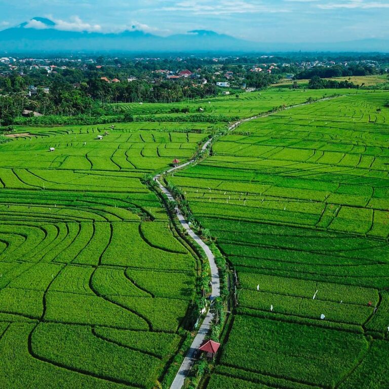 Jogging Track Subak Uma Desa, Canggu