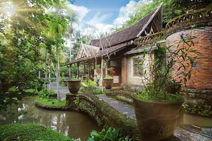 Natural Instinct Healing Ubud