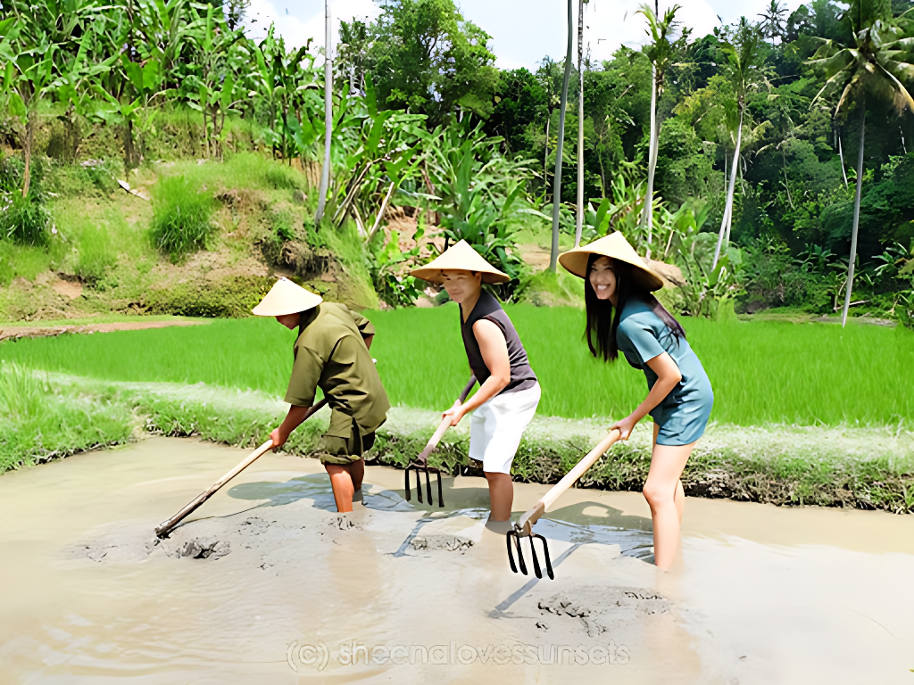 bali farming tour imgupscaler ai V1(Fast) 2K