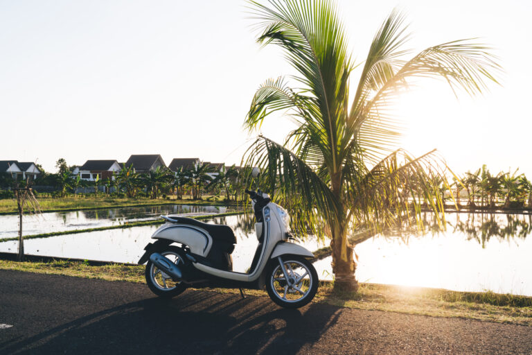 lonely motorcycle parked near tropical plant