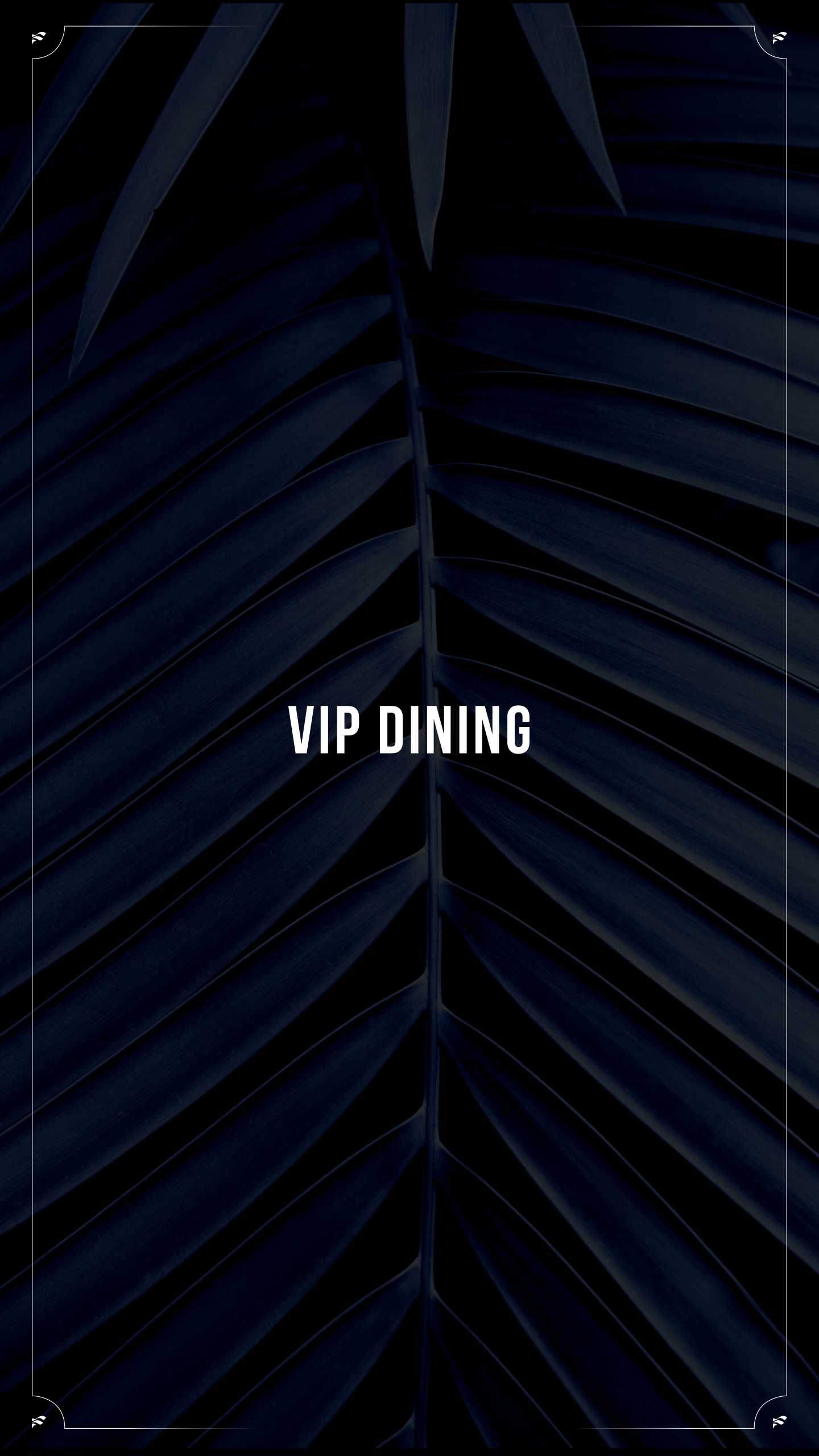 2025 07 VIP FOOD STORY3
