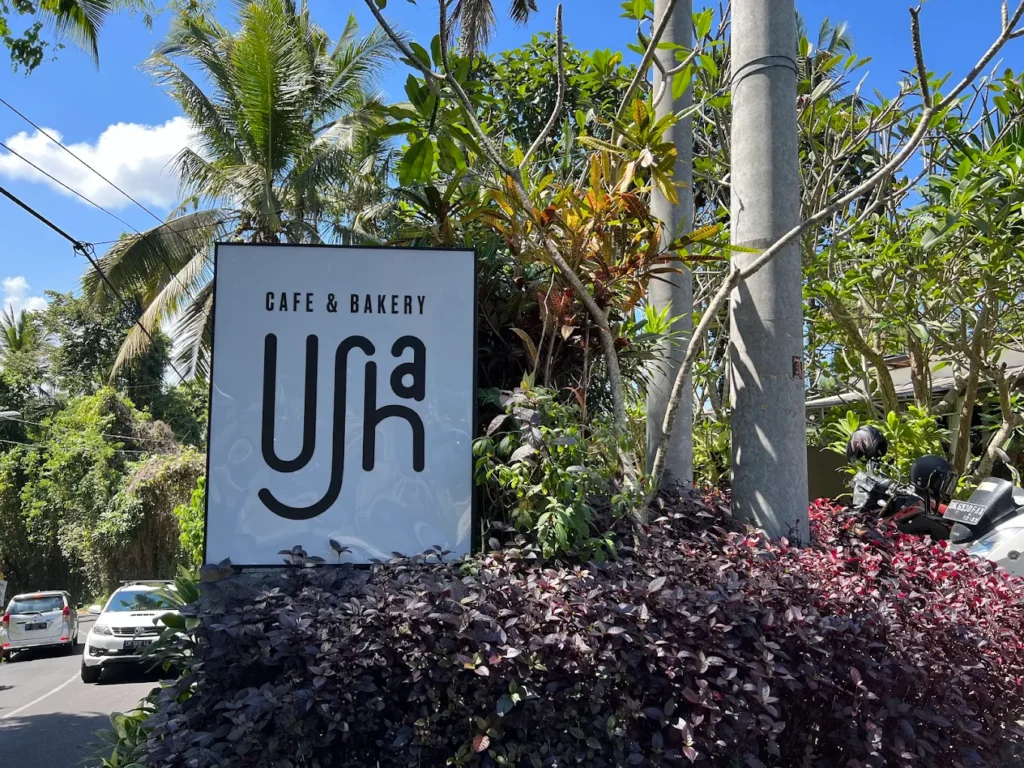 Usha UBud