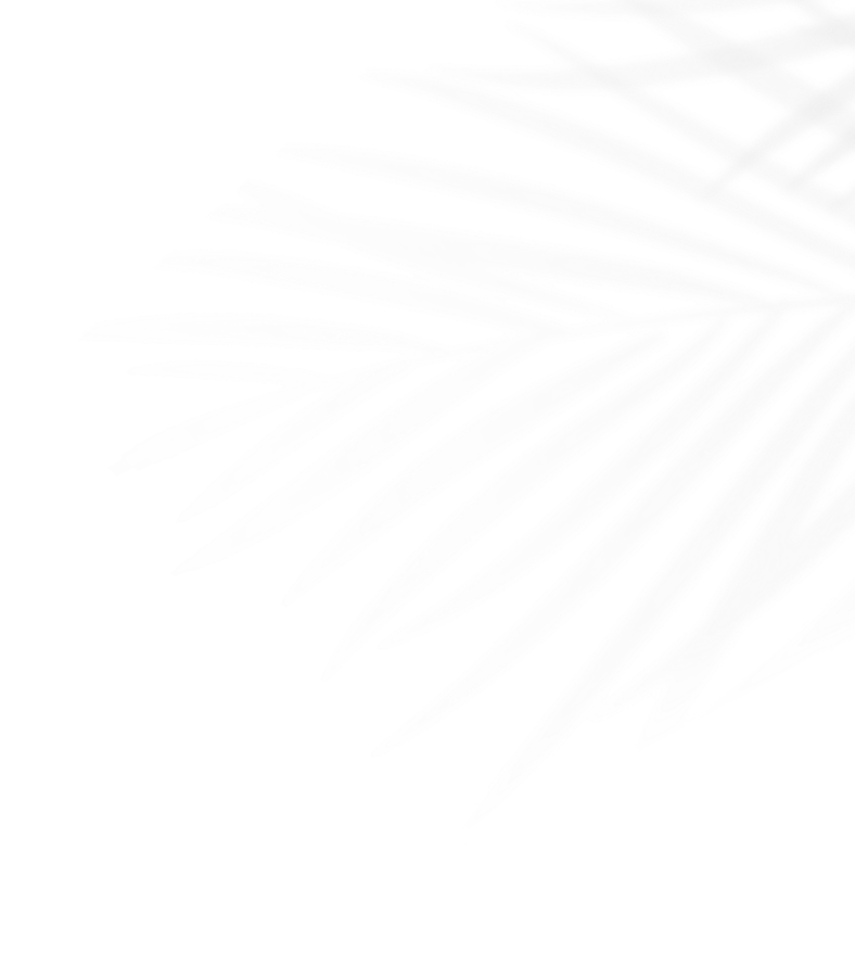 Palm leaf 1