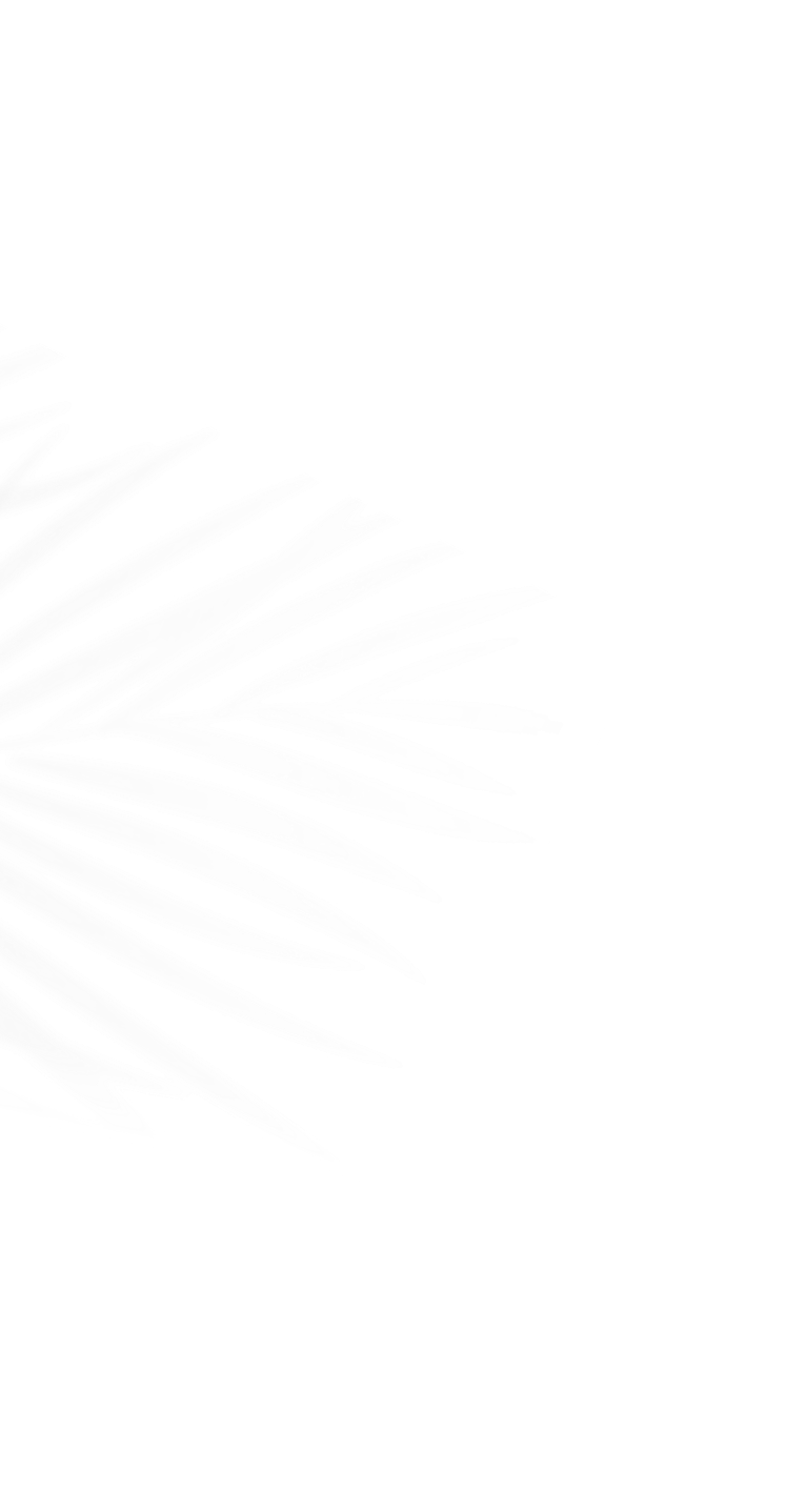Palm leaf