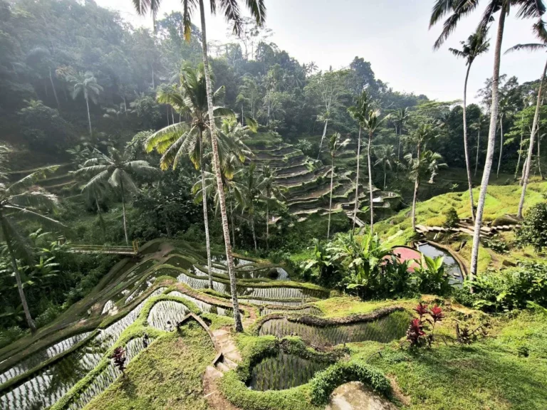 central bali
