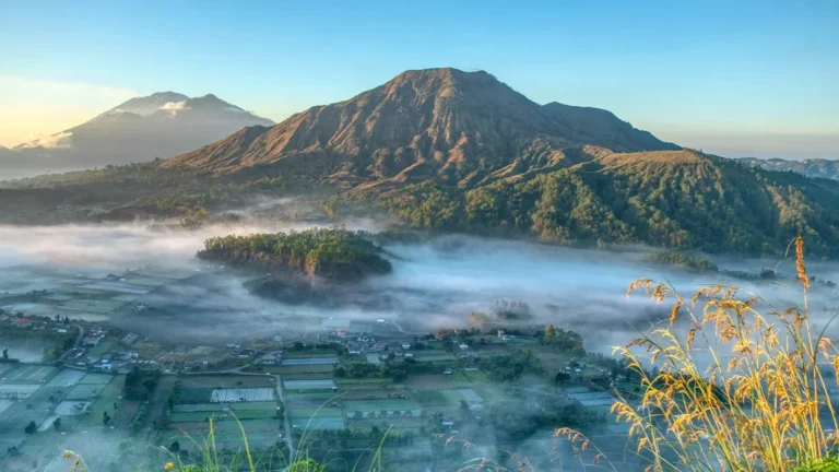 kintamani
