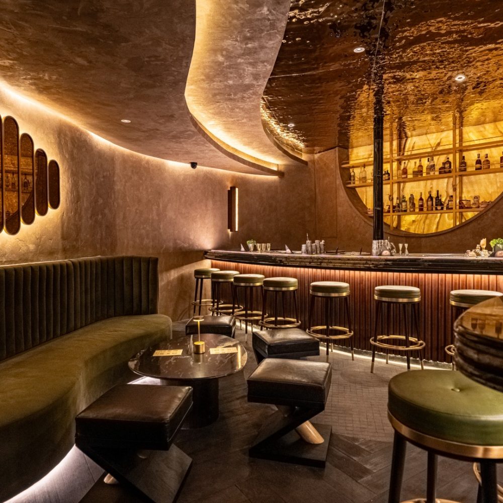 2025 11 03 HIDDEN BAR INTERIOR FJR