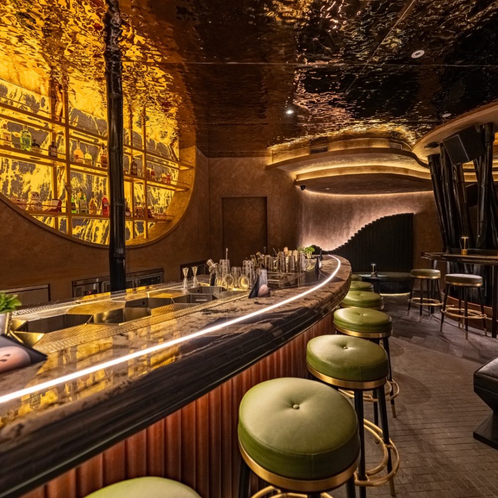 2025 11 03 HIDDEN BAR INTERIOR FJR 11