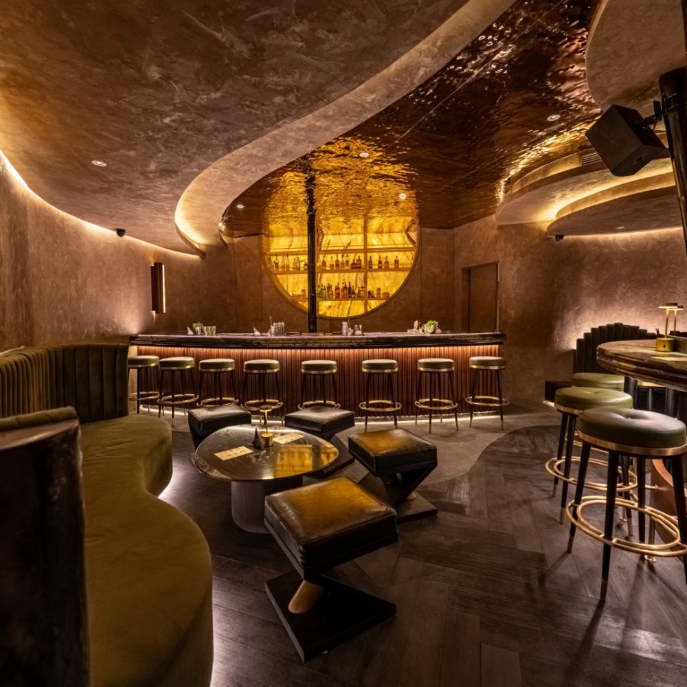 2025 11 03 HIDDEN BAR INTERIOR FJR 5