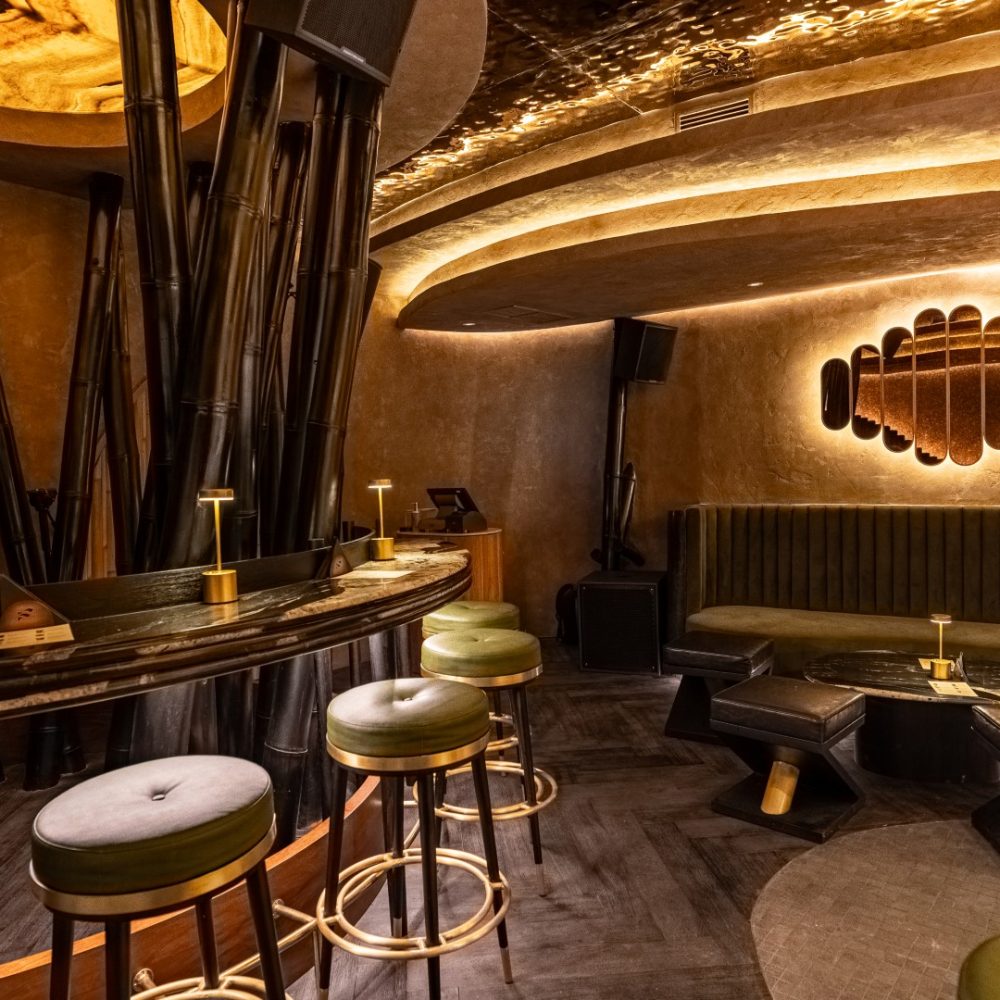 2025 11 03 HIDDEN BAR INTERIOR FJR 9