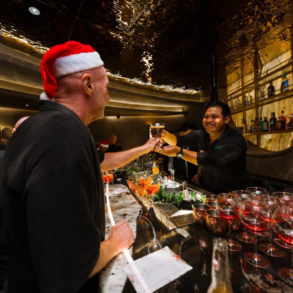 2025 11 19 CHRISTMAS HIDDEN BAR DK 69