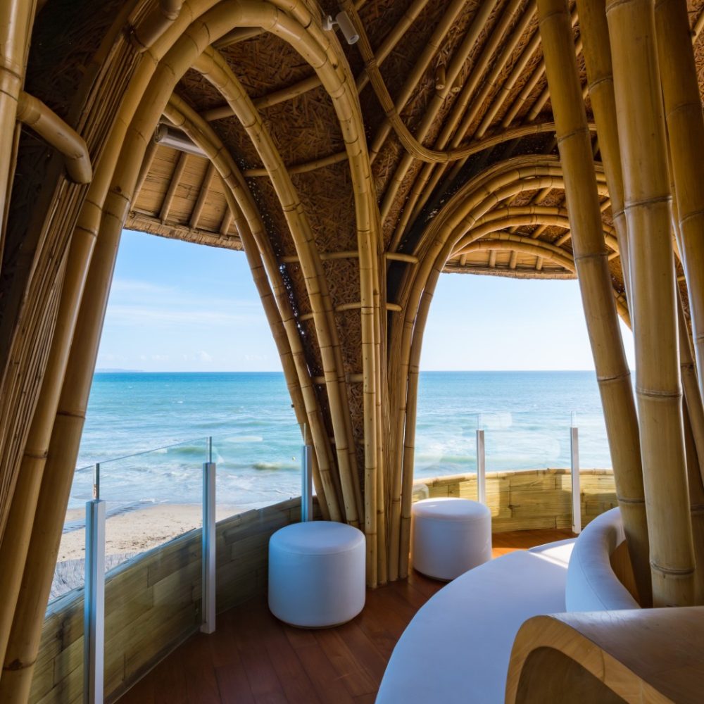 Copy of 2025 08 17 WEEKLY RECAP DK 25 sunset lounge