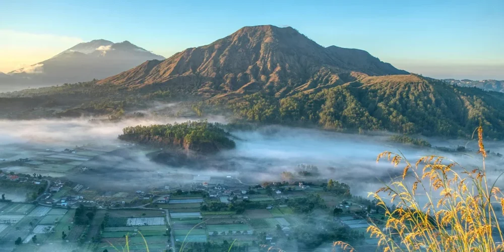 kintamani